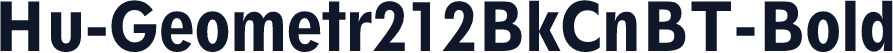 Hu-Geometr212BkCnBT-Bold