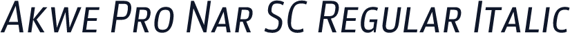 Akwe Pro Nar SC Regular Italic