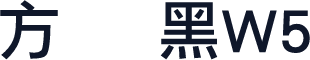 方圆丽黑W5