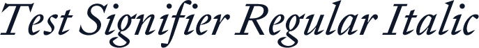 Test Signifier Regular Italic