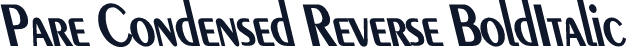 Pare Condensed Reverse BoldItalic