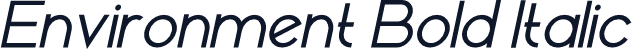 Environment Bold Italic