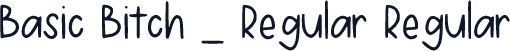 Basic Bitch _ Regular Regular