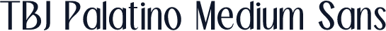 TBJ Palatino Medium Sans