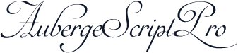 AubergeScriptPro