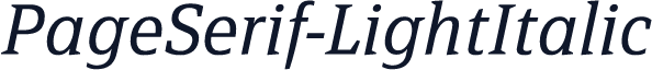 PageSerif-LightItalic