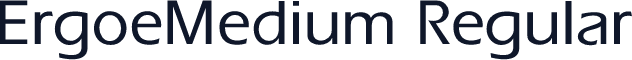 ErgoeMedium Regular