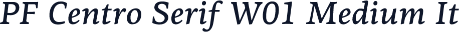 PF Centro Serif W01 Medium It