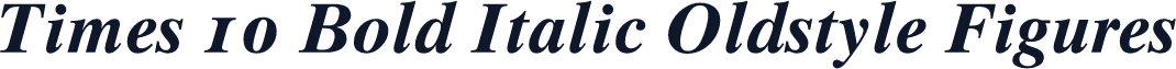 Times 10 Bold Italic Oldstyle Figures