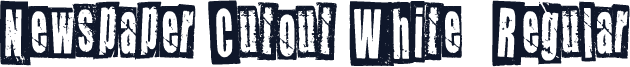 Newspaper Cutout White  Regular