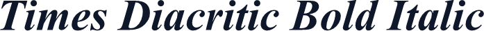 Times Diacritic Bold Italic