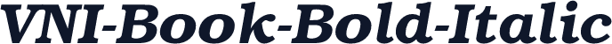 VNI-Book-Bold-Italic