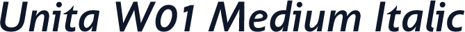 Unita W01 Medium Italic