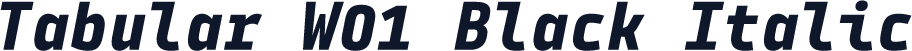 Tabular W01 Black Italic