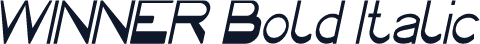 WINNER Bold Italic