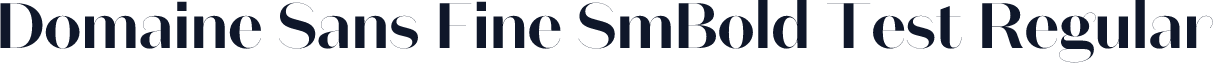 Domaine Sans Fine SmBold Test Regular