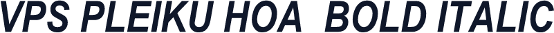VPS Pleiku Hoa  Bold Italic