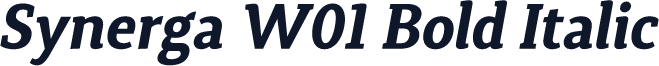 Synerga W01 Bold Italic