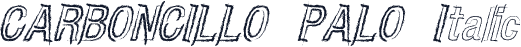 CARBONCILLO PALO Italic