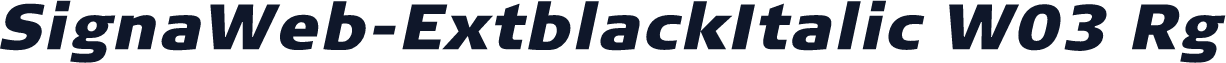 SignaWeb-ExtblackItalic W03 Rg