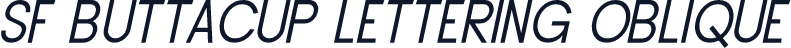 SF Buttacup Lettering Oblique