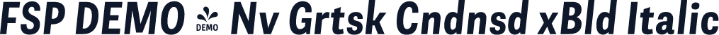 FSP DEMO - Nv Grtsk Cndnsd xBld Italic
