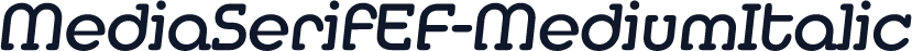 MediaSerifEF-MediumItalic