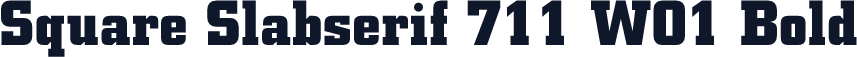 Square Slabserif 711 W01 Bold