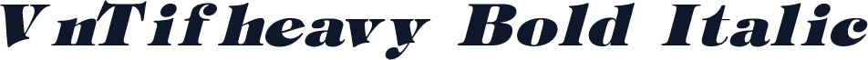 VnTifheavy Bold Italic