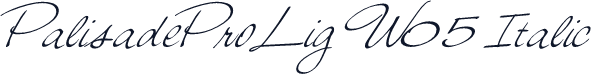 PalisadeProLig W05 Italic