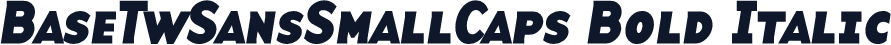 BaseTwSansSmallCaps Bold Italic
