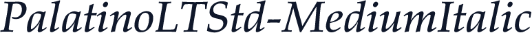 PalatinoLTStd-MediumItalic