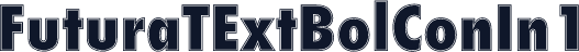 FuturaTExtBolConIn1