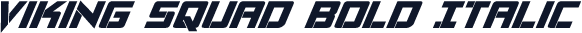Viking Squad Bold Italic