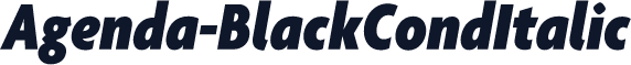 Agenda-BlackCondItalic