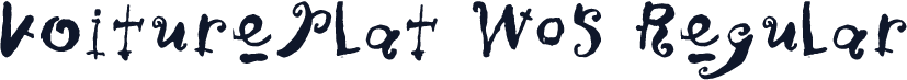 VoiturePlat W05 Regular