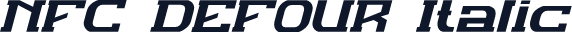 NFC DEFOUR Italic