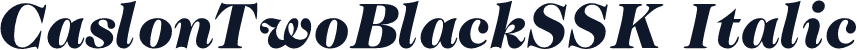 CaslonTwoBlackSSK Italic