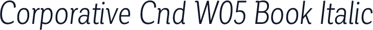 Corporative Cnd W05 Book Italic