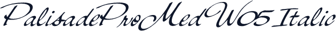 PalisadeProMed W05 Italic