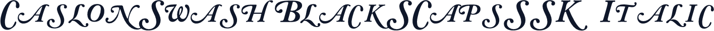 CaslonSwashBlackSCapsSSK Italic