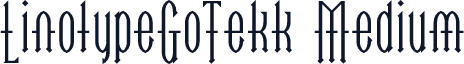 LinotypeGoTekk Medium