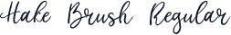Hake Brush Regular
