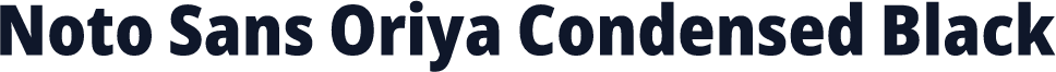 Noto Sans Oriya Condensed Black