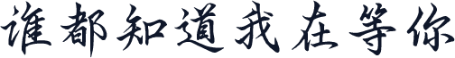 谁都知道我在等你