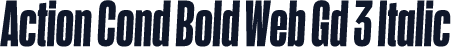 Action Cond Bold Web Gd 3 Italic