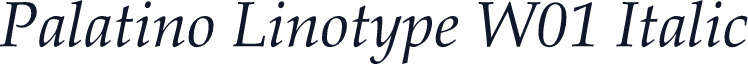Palatino Linotype W01 Italic
