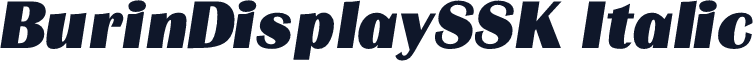 BurinDisplaySSK Italic