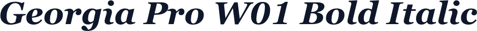 Georgia Pro W01 Bold Italic