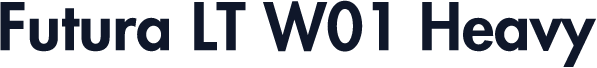 Futura LT W01 Heavy